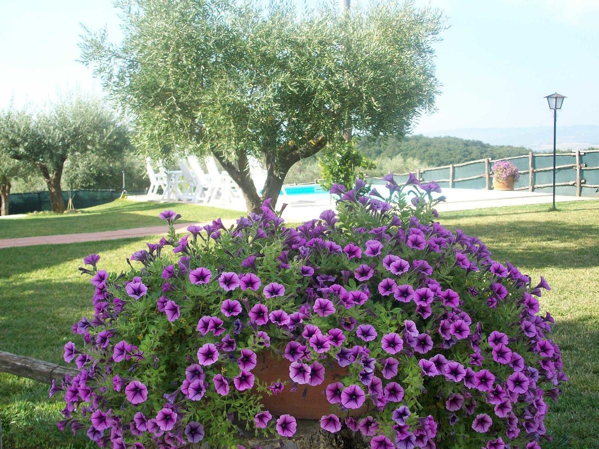 Casale Il Colle Deruta Villa Luaran gambar